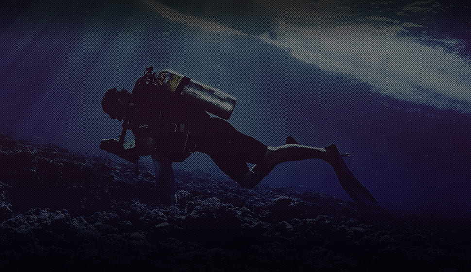 ABOUT Save the BEYOND