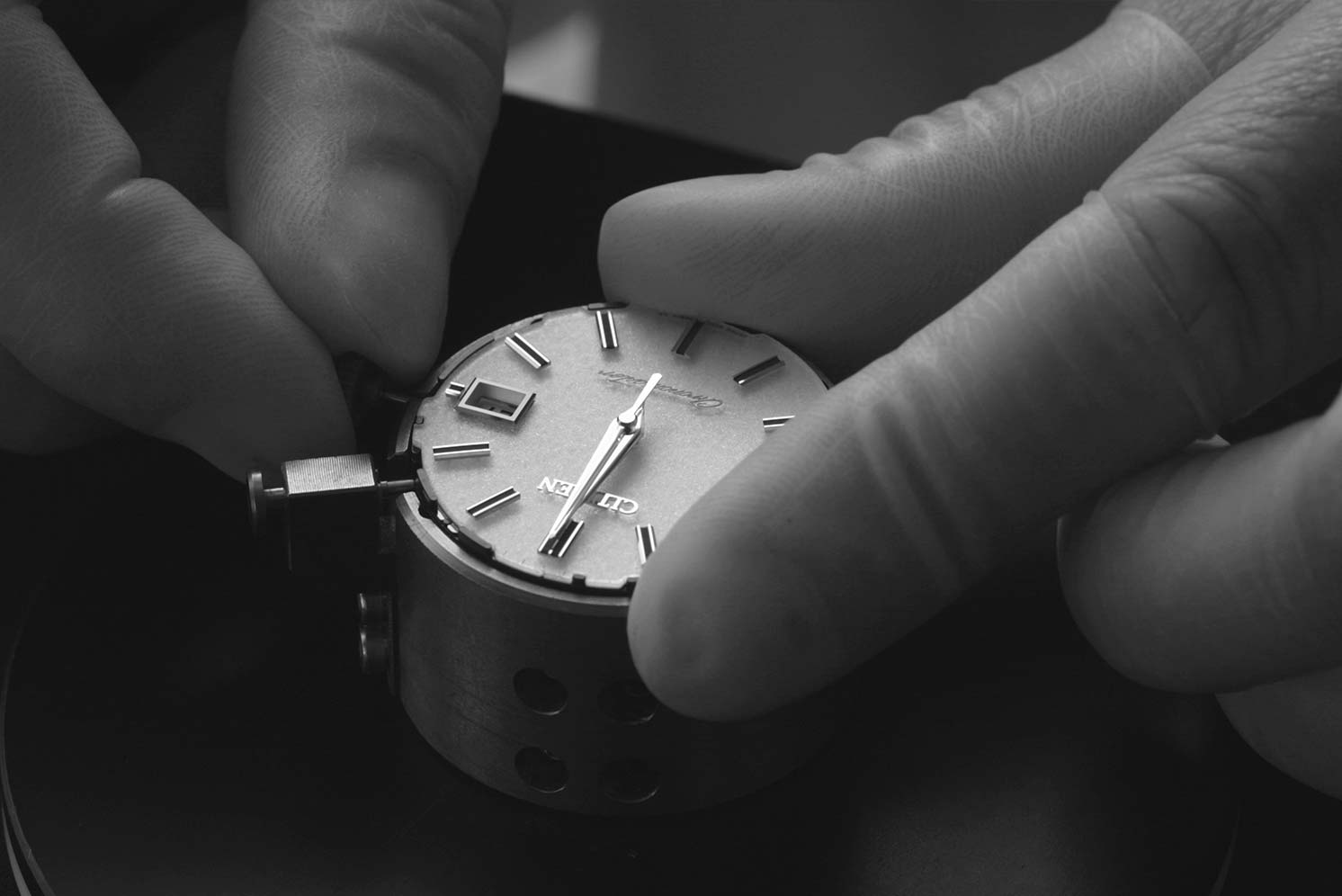 Timeless elegance transcending fashion