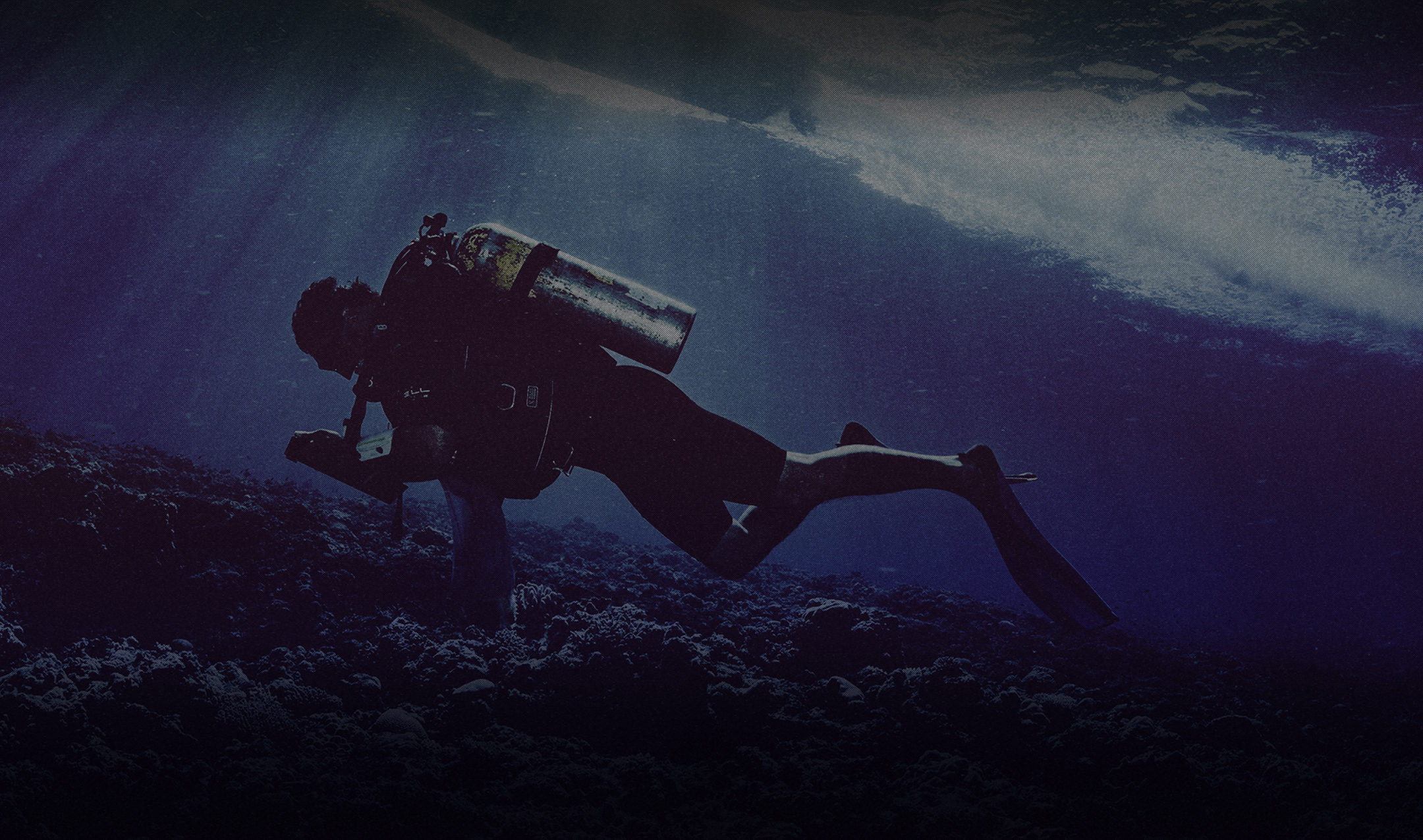 ABOUT Save the BEYOND