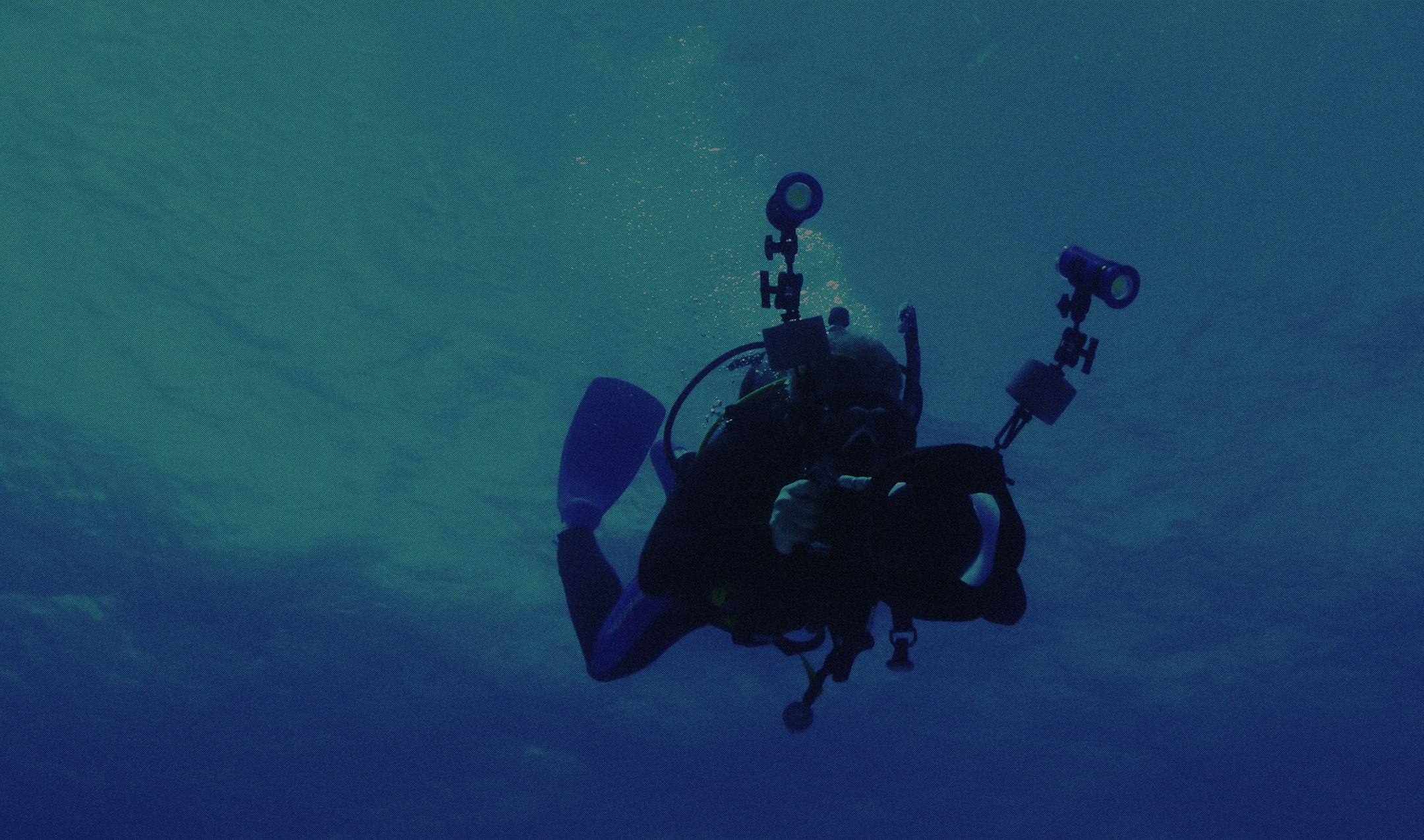 ABOUT Save the BEYOND