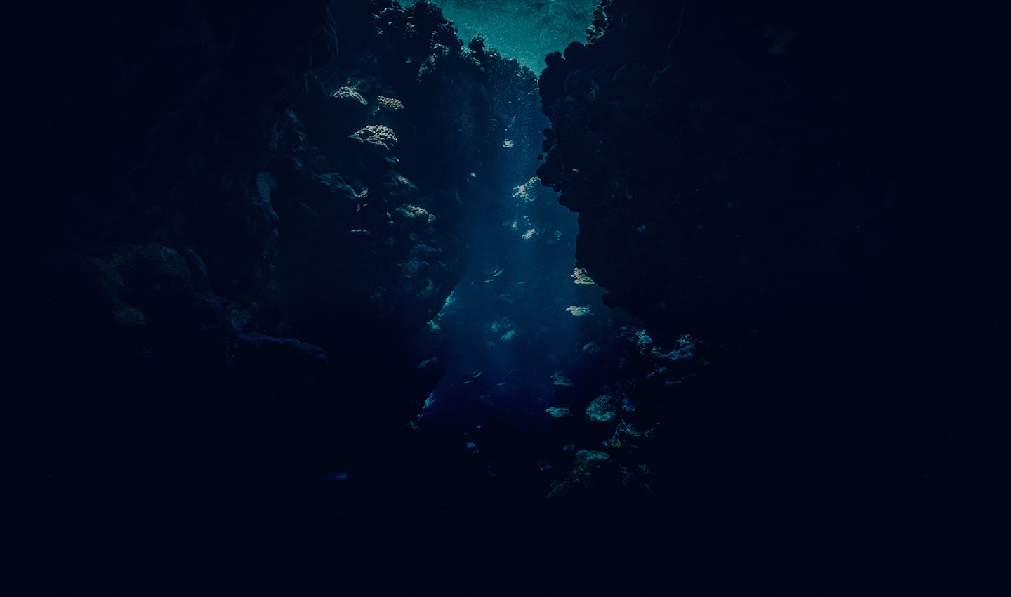 MECHANICAL DIVER 200m