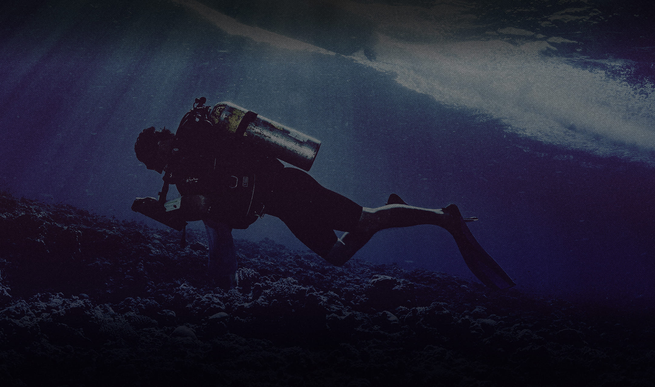 ABOUT Save the BEYOND