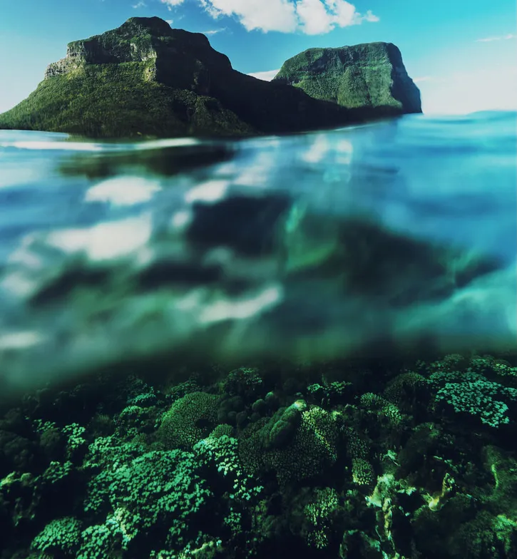 “WHEN YOU GIVE MOTHER NATURE A CHANCE TO TAKE A BREATH,  SHE RESPONDS RAPIDLY  AND POSITIVELY.”