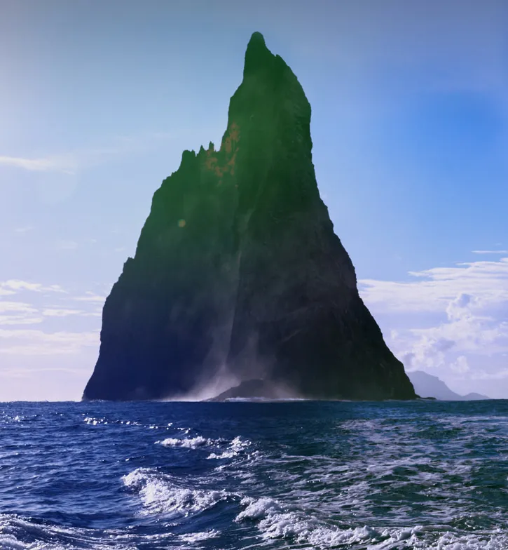 “WE NEED TO REALIGN OURSELVES WITH THE NATURAL RHYTHMS  OF THE PLANET.”