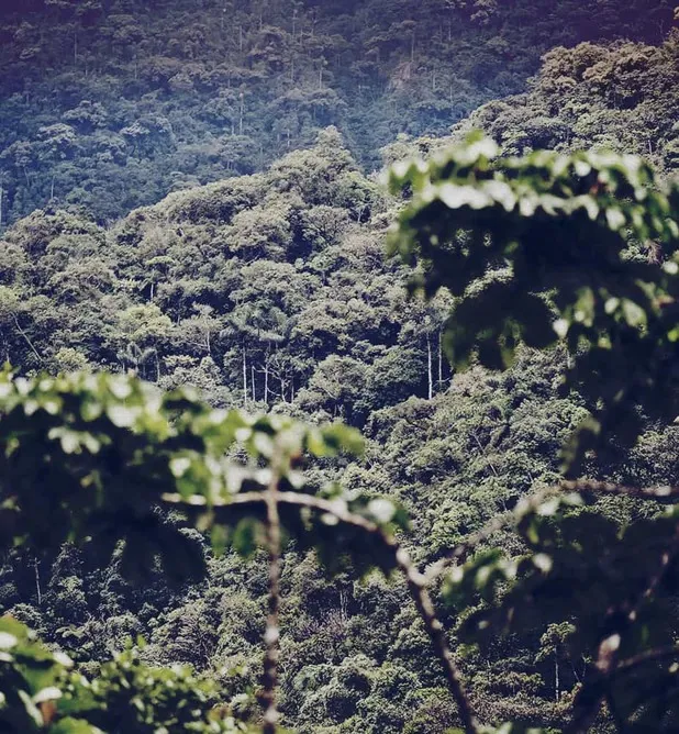 “WE WANT TO BUILD BRIDGES, SO WE WORK WITH DIFFERENT STAKEHOLDERS.”