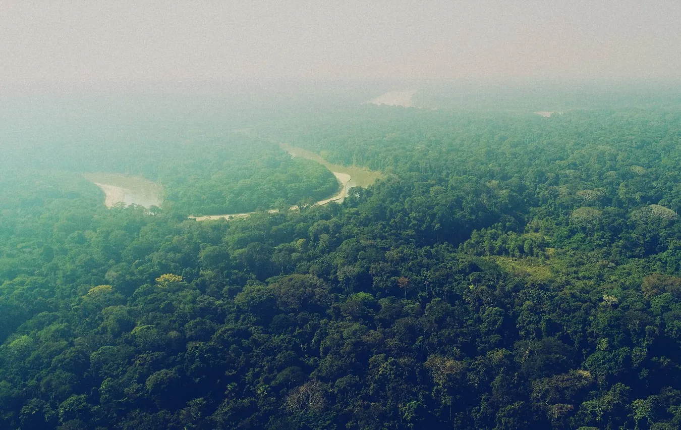 “WE'RE DEVISING METHODOLOGIES TO PROMOTE REFORESTATION AND NATURAL REGENERATION IN THE HIGHER AREAS.”