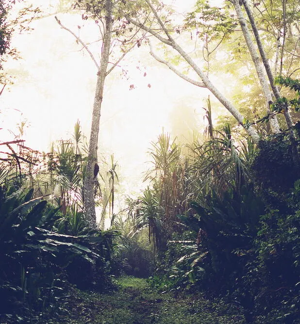 “WE MUST KEEP THE KNOWLEDGE OF INDIGENOUS PEOPLES INTACT FOR FUTURE GENERATIONS.”