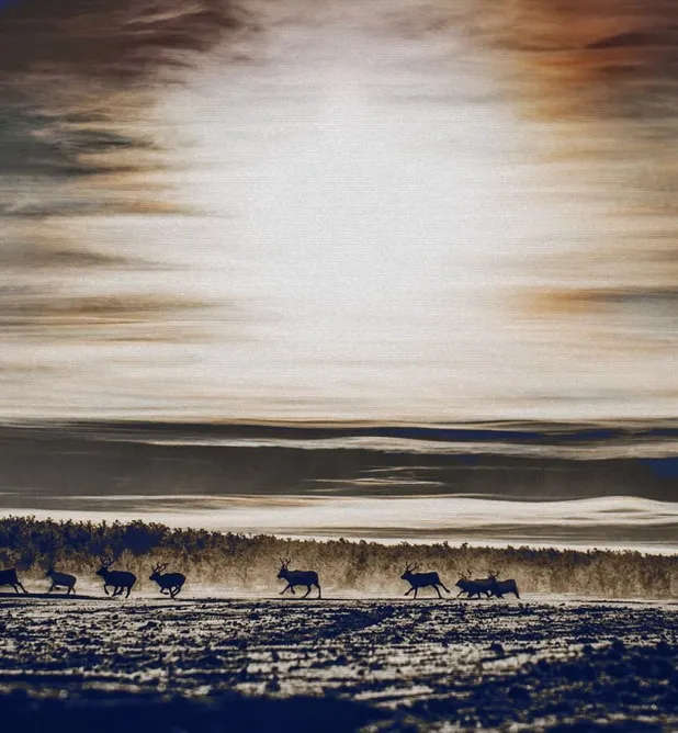 “SHOWING THE NATURAL WORLD IN ITS RAW FORM, ESPECIALLY TO THE YOUNGER GENERATION, IS MORE IMPORTANT THAN EVER.”