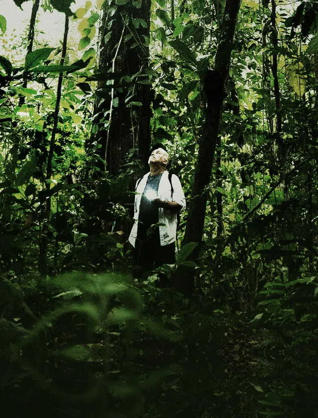 SAVING THE AMAZON ON MULTIPLE LEVELS